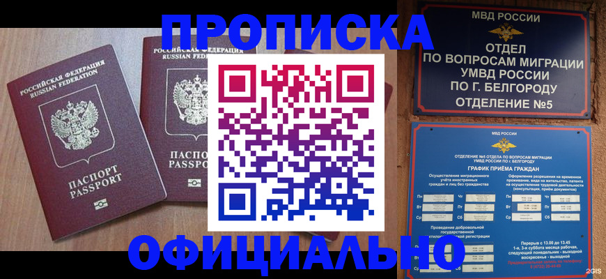 найти адрес прописки в Кондопоге